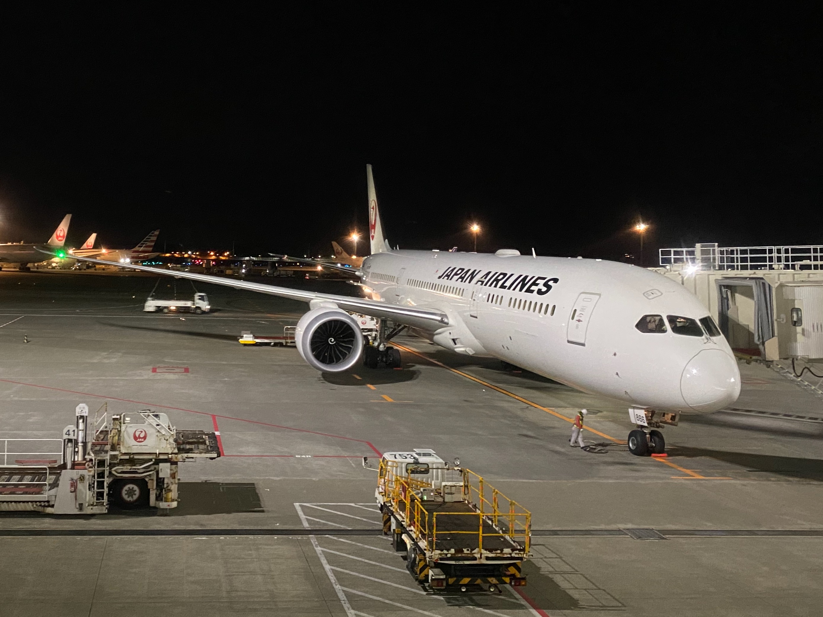 A Japan Airlines 787-9